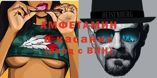 мдпв Ельня